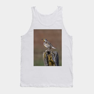 Eastern Meadowlark Tank Top